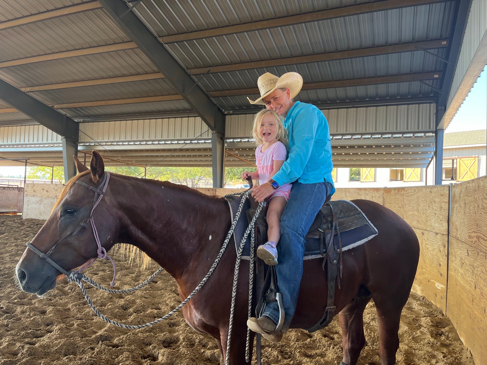 Gibson at Two: Intuitive and Ahead of the Herd